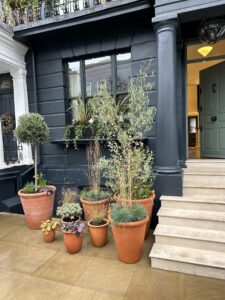 Ledbury Road Image Gallery