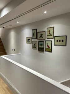 Ledbury Road Image Gallery